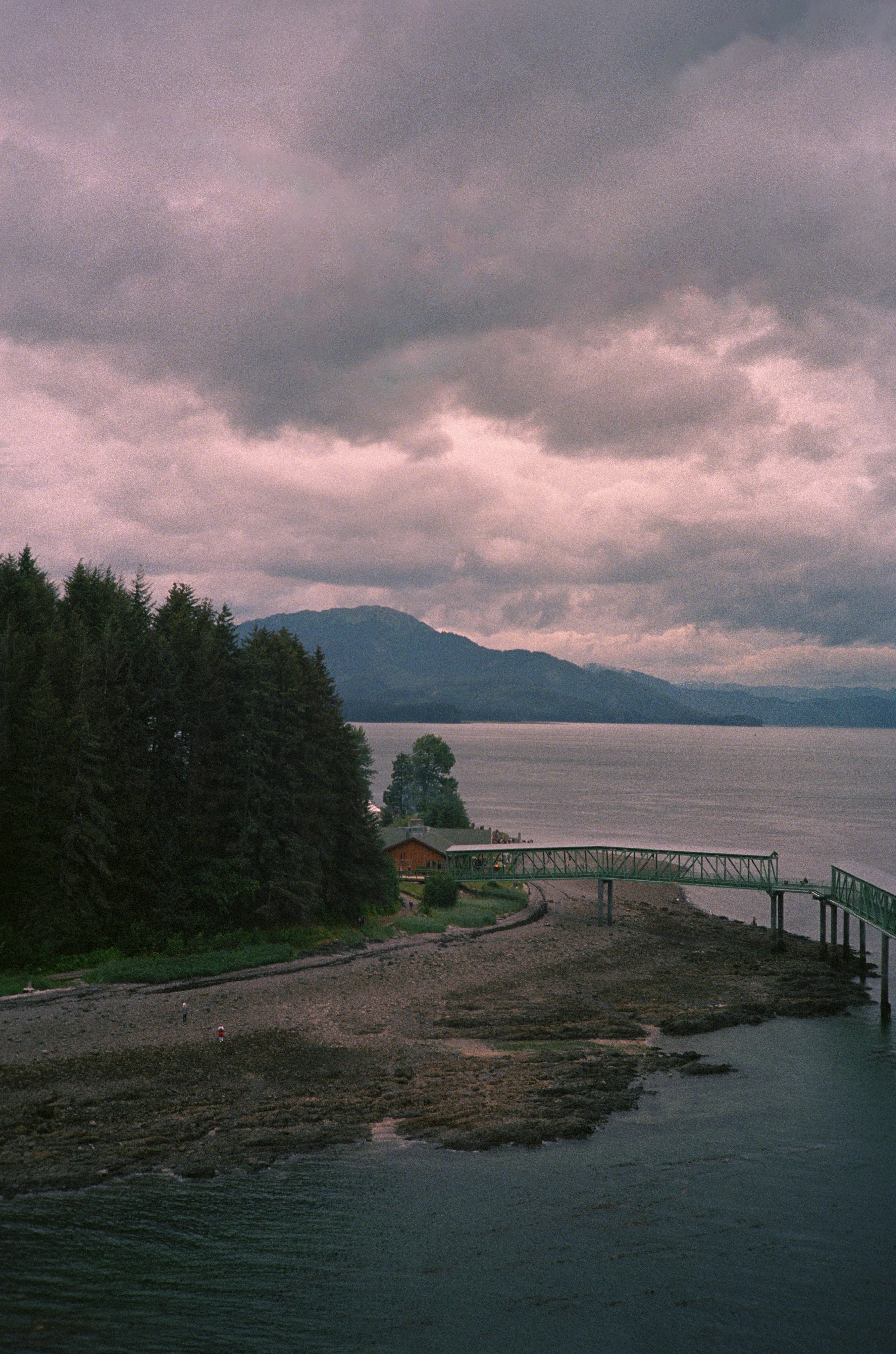 A small brown building on the Alaskan coast nestled between a forest and beach