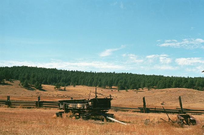 An old horse cart sitting in a grassy field, backed by a deep green treeline