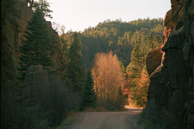 Phantom Canyon Road, bookended by rocky outcroppings, with sunlight illuminating the trees in the background